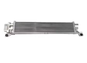Intercooler MG ZS
